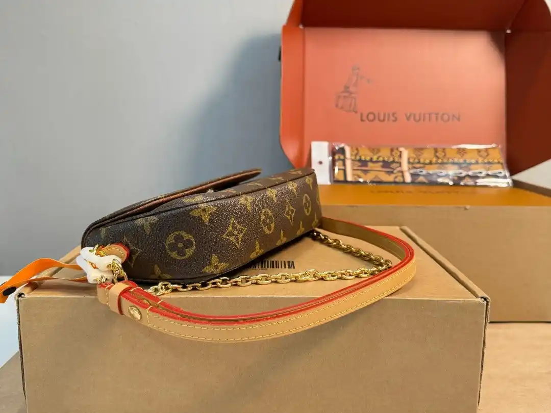 LV Brown Small bag with Gold chain and strap - Image 3